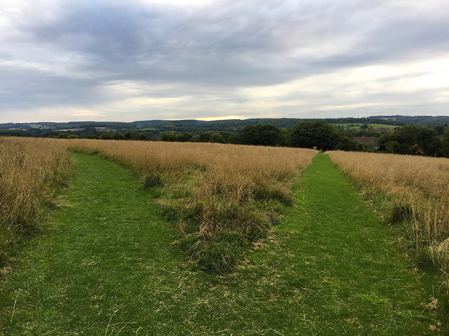 35816772493_1c54cd5c2f_z (1)